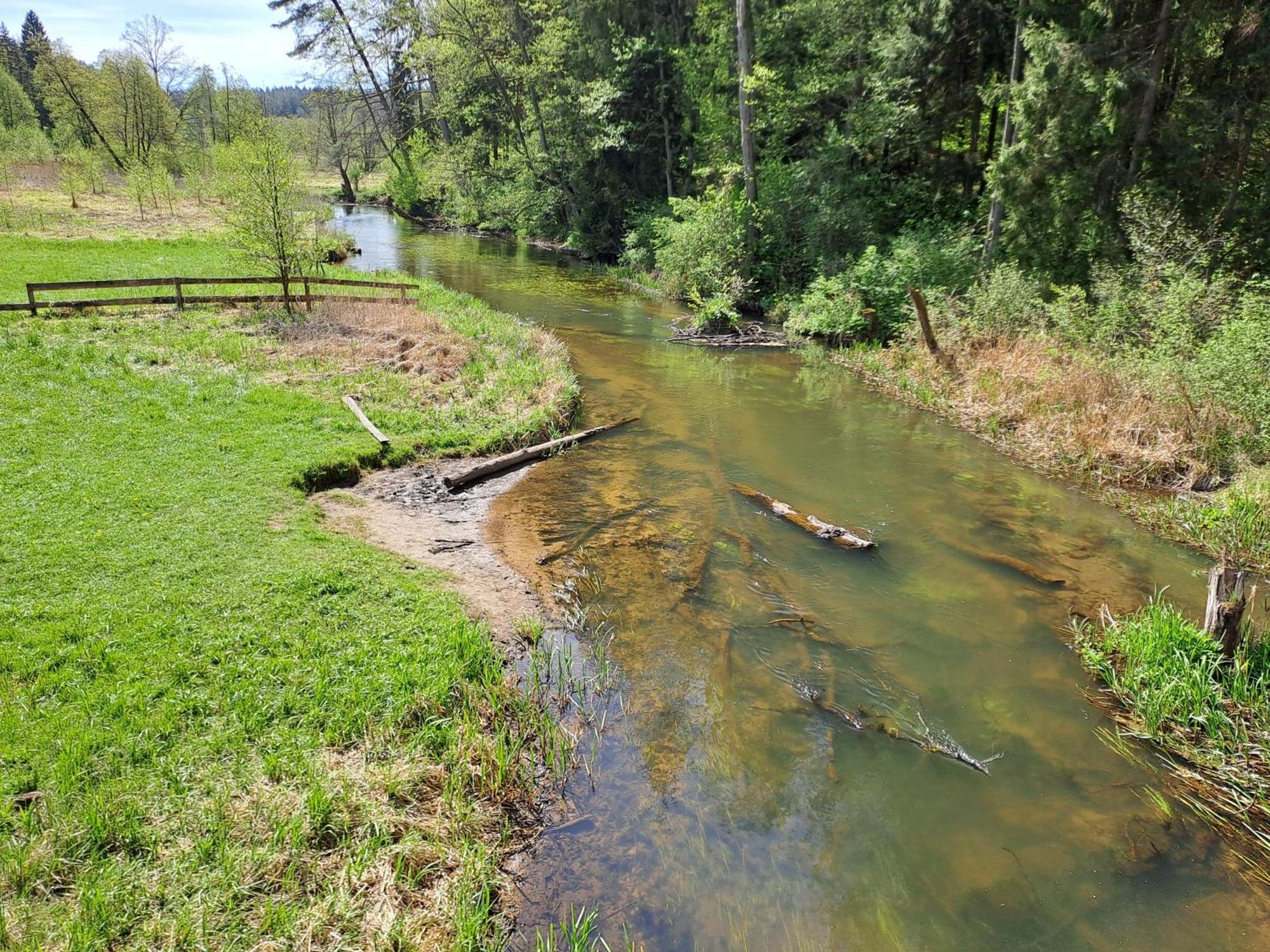 Podlaska Chata Augustów Dış mekan fotoğraf
